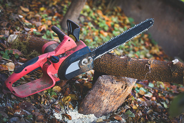 Best Lawn Watering Services  in Woods Cross, UT